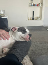 Aidy Home 21-02-26.rar